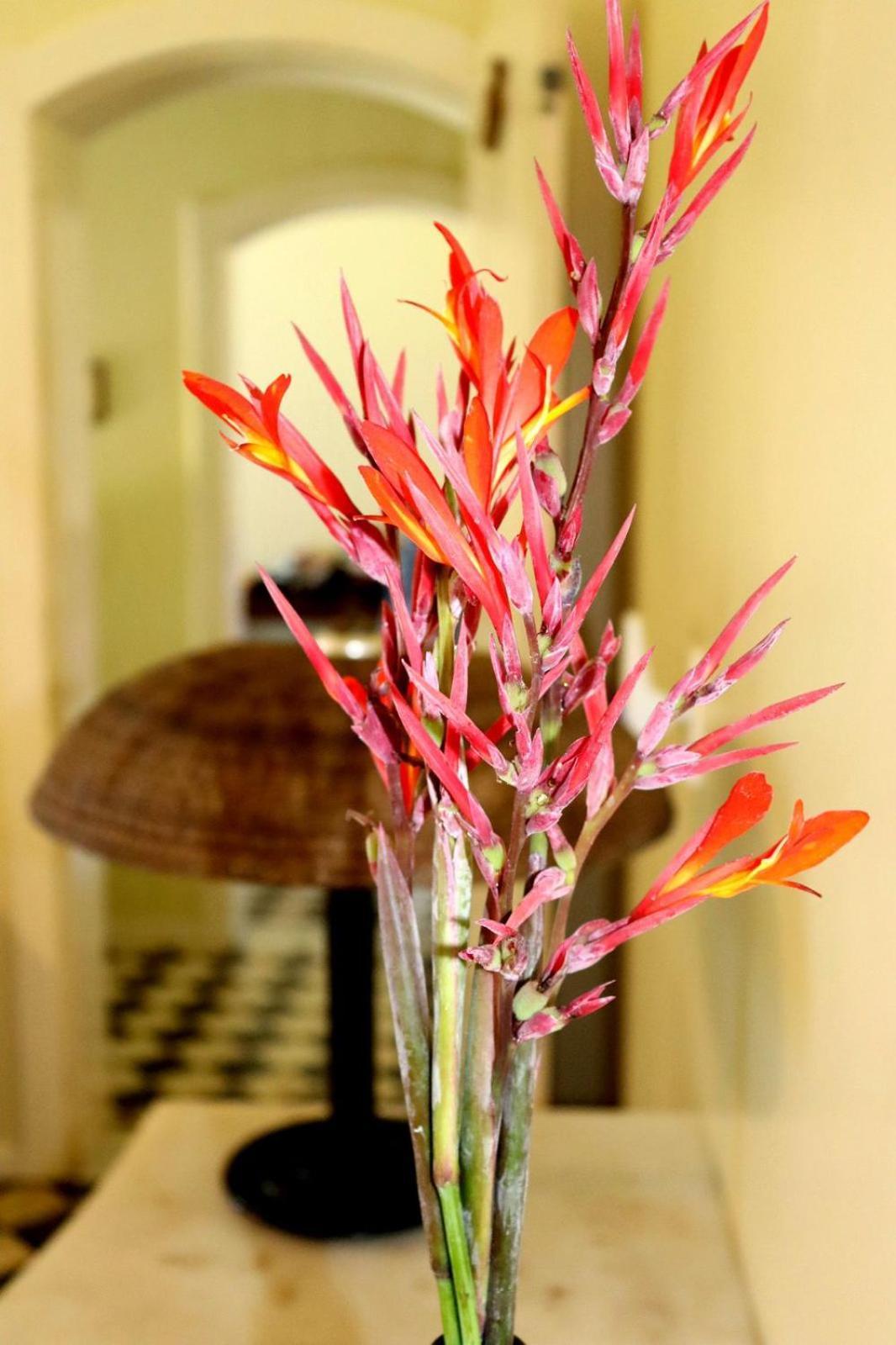 Pousada Almaviva Velha Boipeba Chambre photo